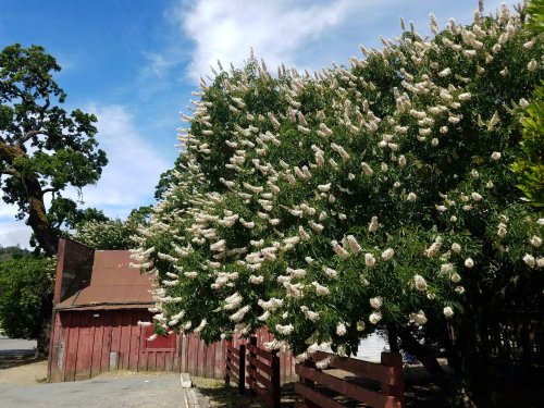 Resized_20170524_103808